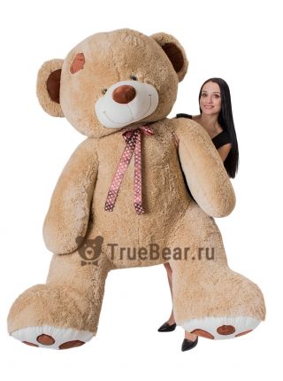 "Фрэнки" 260см кофейный